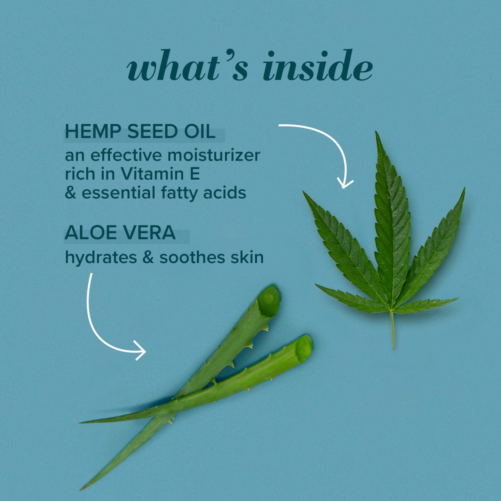 Burt's Bees Cooling Face Scrub with Aloe & Hemp, For Men, 4 Ounces