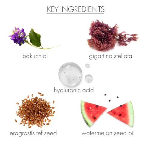 Whish Neck Firming Cream with Bakuchiol - 3D Reshaping Effect for Neck, Jawline & Chin - 3.4oz